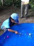 20170806-03.jpg