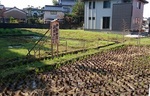 20171105-11.jpg