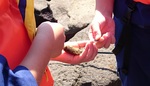 20180617-13.jpg